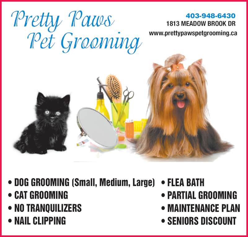 paws pet grooming