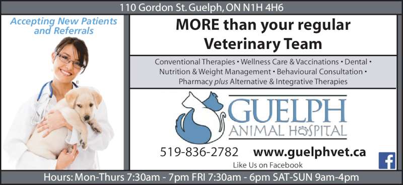 guelph animal hospital guelph on 110 gordon st canpages guelph animal hospital guelph on 110 gordon st canpages
