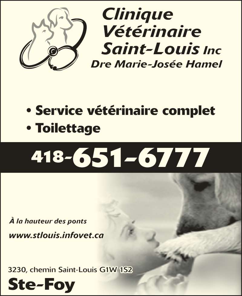 Clinique Veterinaire SaintLouis Horaire d