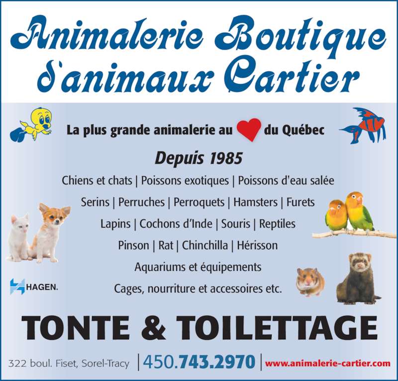 Animalerie Boutique Cartier - Horaire d'ouverture - 322 Animalerie Boutique Cartier - Horaire d'ouverture - 322