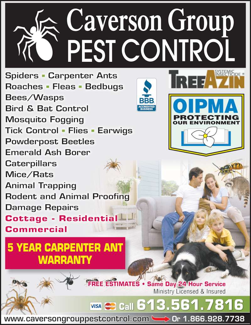Caverson Group Pest Control Canpages