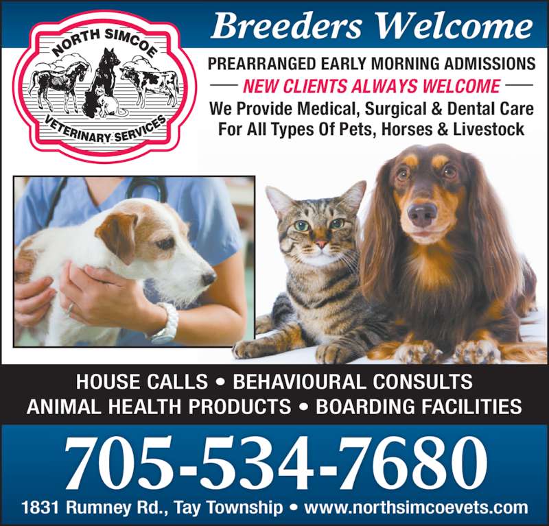 Dog Boarding Kennels North Bay Ontario Dog Boarding Kennels North Bay Ontario