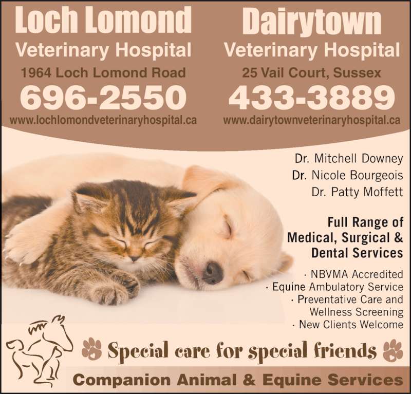 Loch Lomond Veterinary Hospital Opening Hours 1964 Loch Lomond Rd
