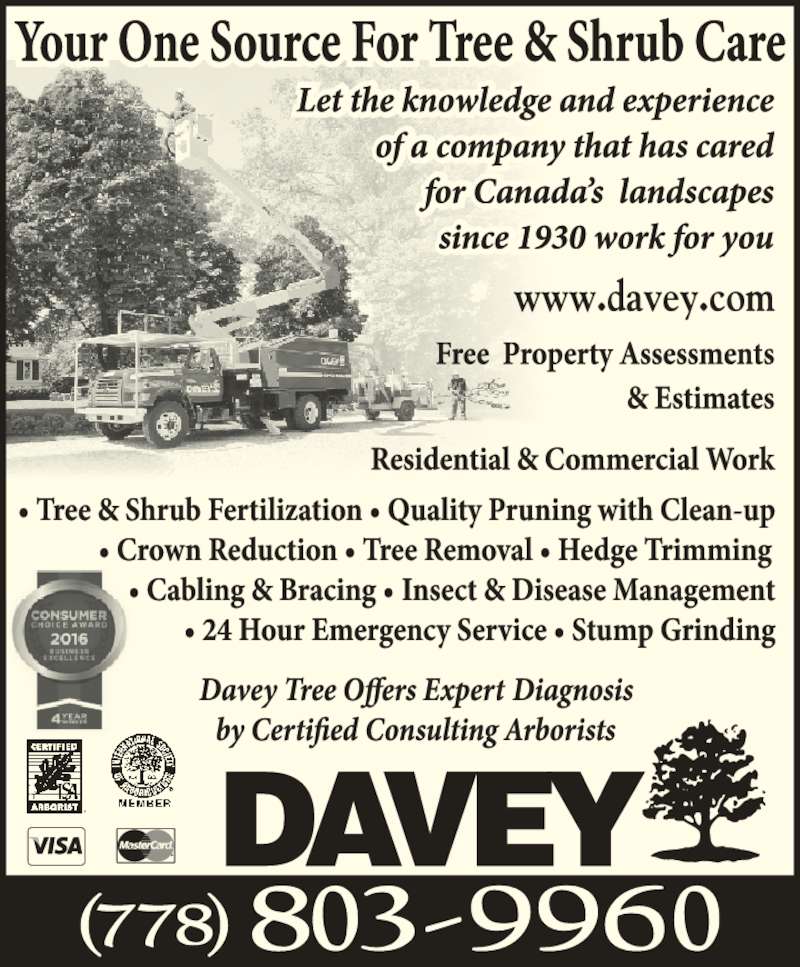Lawn services sale garden mowing commercial enterprise prices