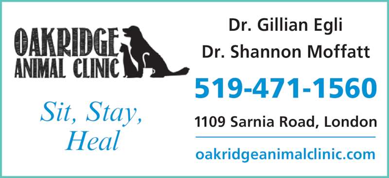 Dog Grooming Sarnia Road London Ontario Dog Grooming Sarnia Road London Ontario