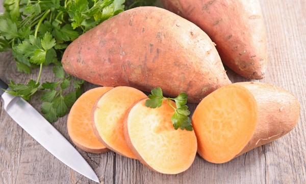 Картинки по запросу potato help