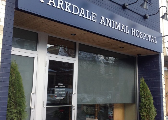 free puppy vaccinations near me parkdale animal hospital toronto business story free puppy vaccinations near me parkdale animal hospital toronto business story