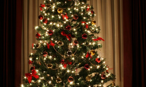 advice on keeping your christmas tree fresh smart tips advice on keeping your christmas tree fresh smart tips