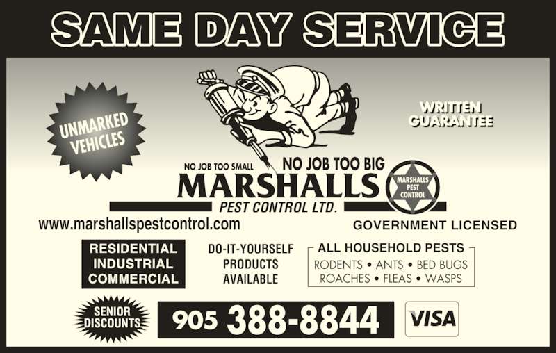 Marshalls senior discount day Florida FL Senior Citizen Discounts at Restaurants, Retail Stores, Grocery Stores, and Travel. Welcome! Here is a list of senior citizen discounts in seusinteresses.tk’s our goal to find all the local discounts to your favorite restaurant, retail, store and local travel in Florida that others can also benefit from them.
