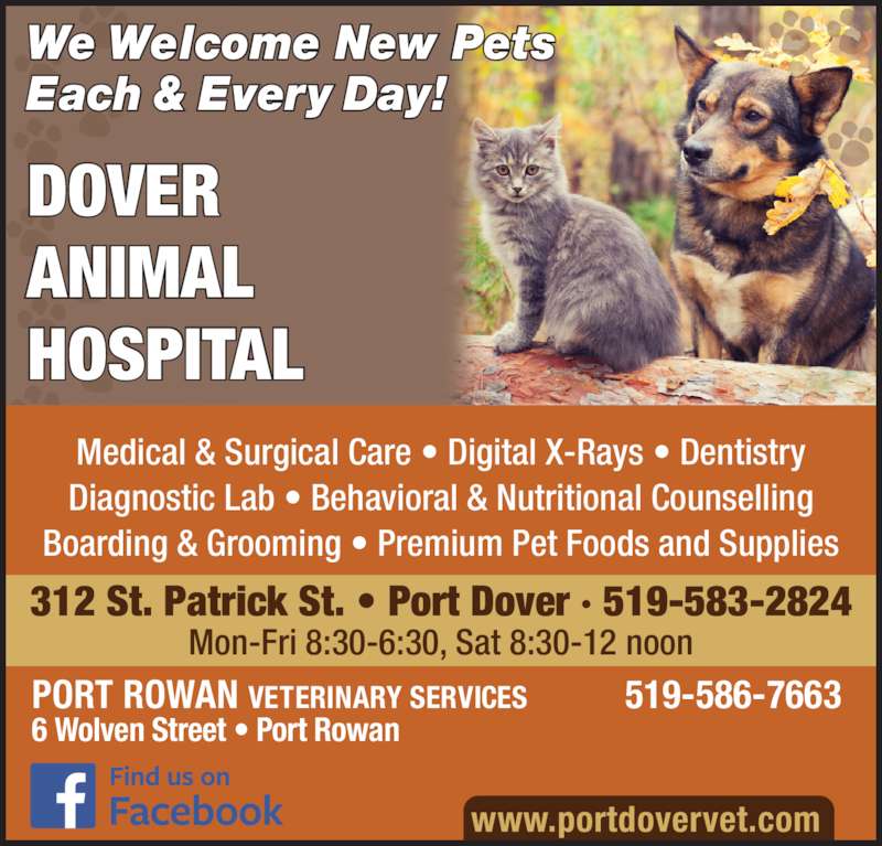 Dover Animal Hospital Opening Hours 312 St Patrick, Port Dover, ON