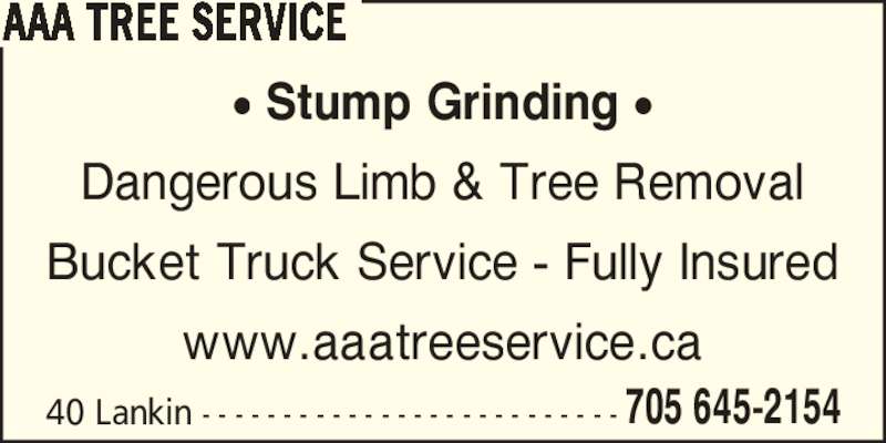 AAA Tree Service Opening Hours 40 Lankin Ave