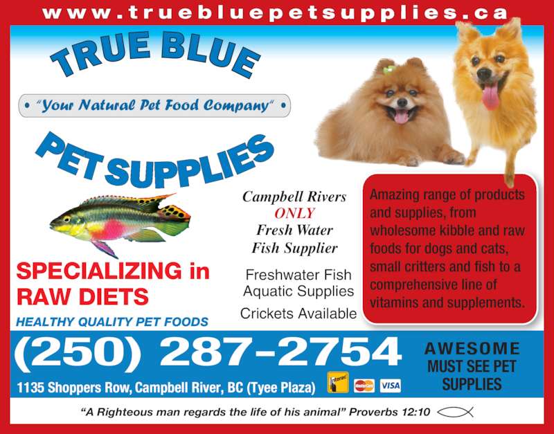 Raw Dog Food Hamilton Raw Dog Food Hamilton