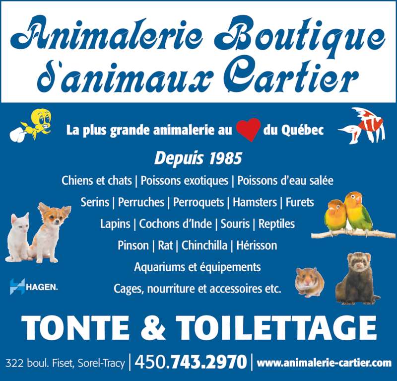 Animalerie Boutique Cartier - Horaire d'ouverture - 322 Animalerie Boutique Cartier - Horaire d'ouverture - 322