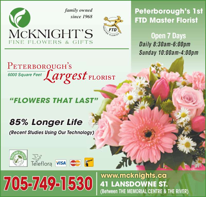 McKnight's Flowers Plants Gifts Opening Hours 41 Lansdowne St W