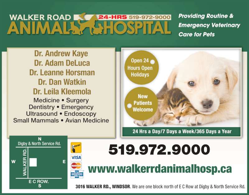 Walker Road Animal Hospital Opening Hours 3016 Walker Rd, Windsor, ON