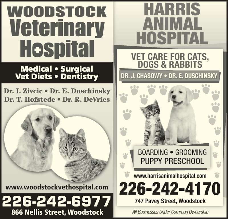 Woodstock Veterinary Hospital Opening Hours 866 Nellis St