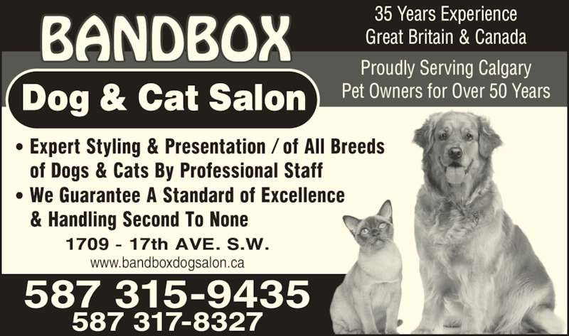 Bandbox Dog Cat Salon Calgary Ab Bandbox Dog Cat Salon Calgary Ab
