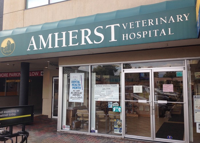 Amherst Veterinary Hospital Ltd Vancouver Business Story