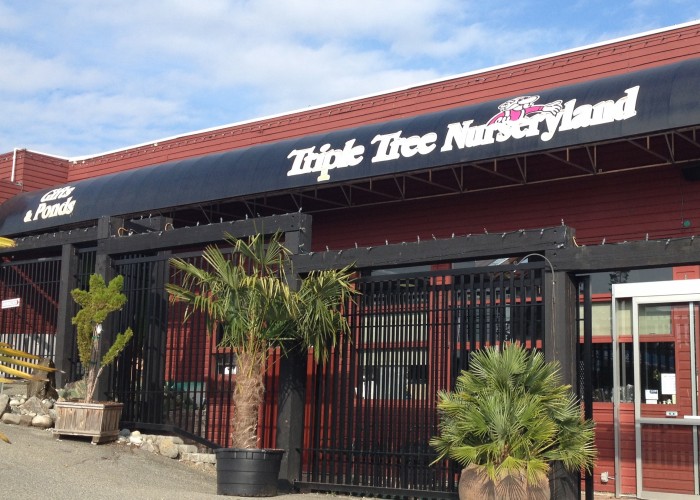 Triple Tree Nurseryland & Florist Maple Ridge Business Story