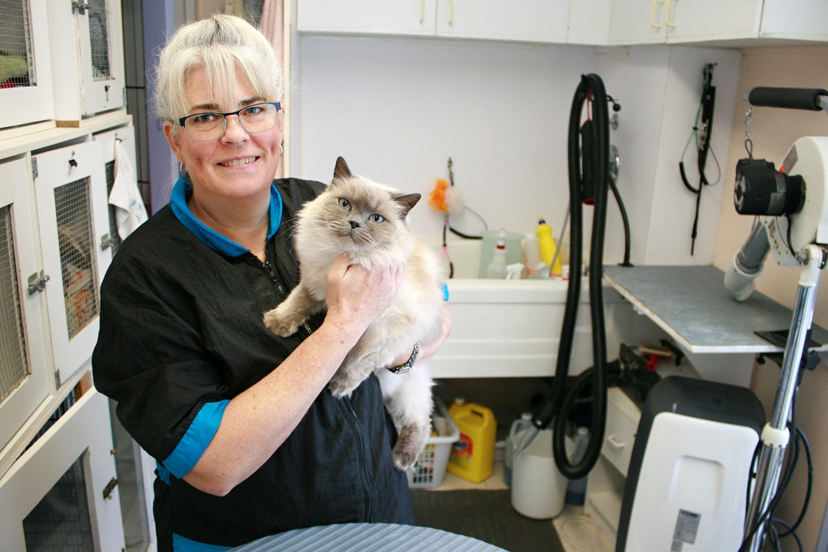 Cat Cuts St. Albert Business Story