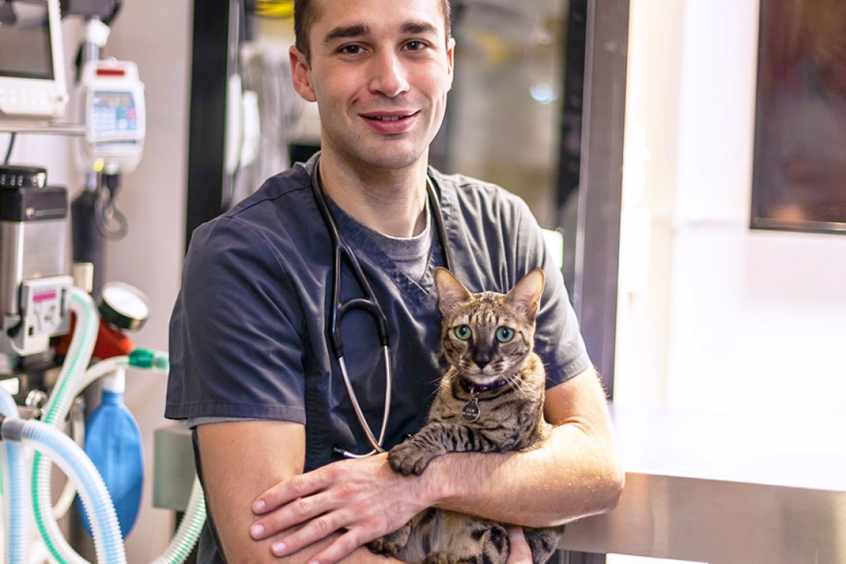 Clinique Vétérinaire Rue Ontario Montréal Business Story