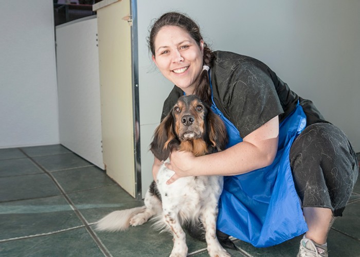 Dogs Rule Pet Grooming Calgary Business Story