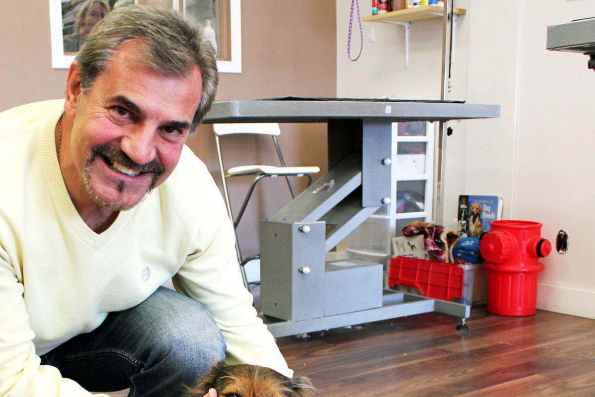 dazzling dogs dazzling dogs grooming edmonton business story dazzling dogs dazzling dogs grooming edmonton business story