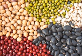 Cooking with beans: an easy recipe for rich chicken and bean hotpot