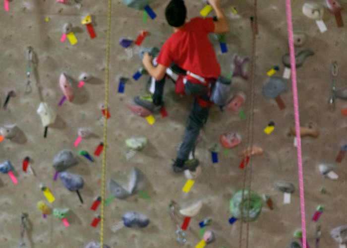 Coastal Climbing Centre Surrey Business Story