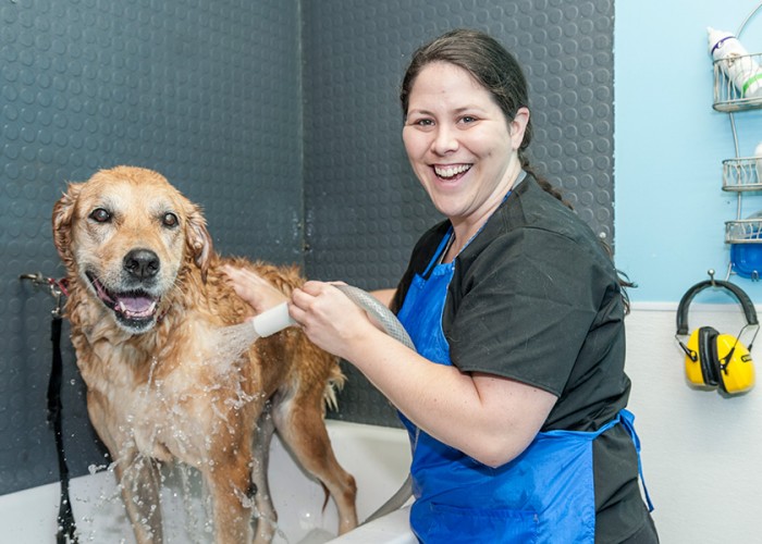 Dogs Rule Pet Grooming Calgary Business Story
