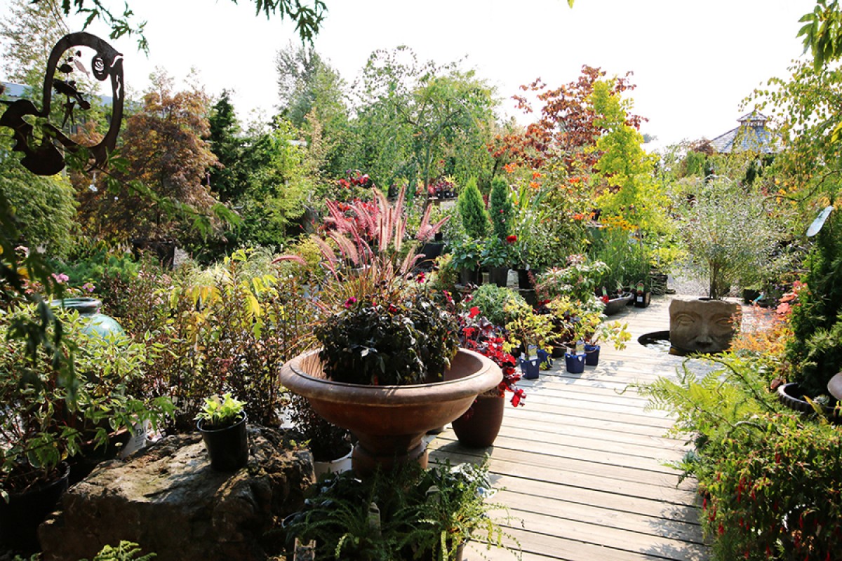 It's About Thyme Nursery Ltd Burnaby Business Story