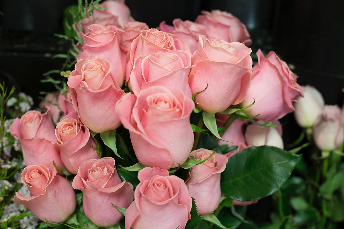 Primavera Flowers & More Ltd Vaughan Business Story