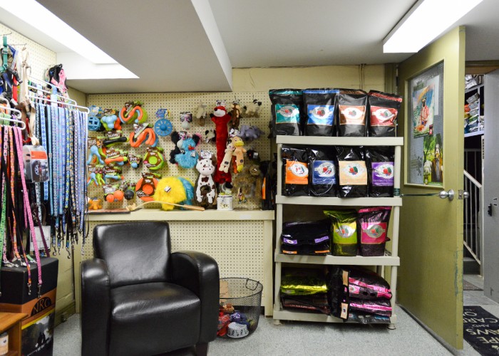 Tails Up Dog Grooming Toronto Business Story