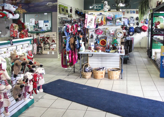 The Barking Lot Calgary Business Story