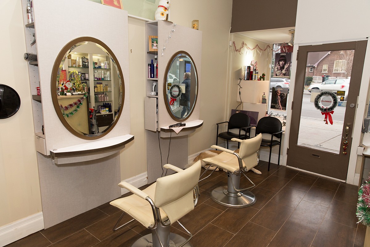 The Hair Zone Inc Toronto Business Story