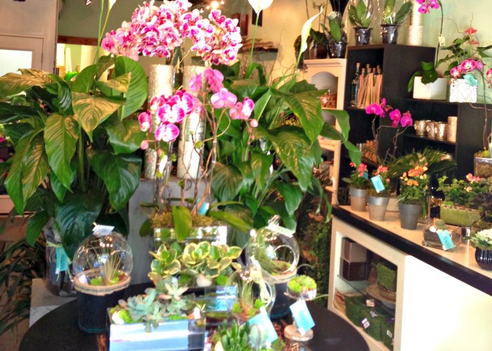 Port Moody Flowers Port Moody Business Story