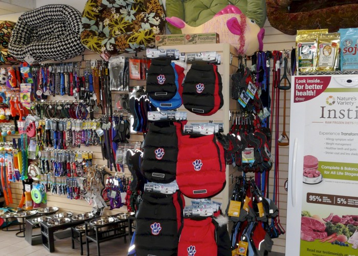 Uber Dog Mount Pleasant Toronto Business Story