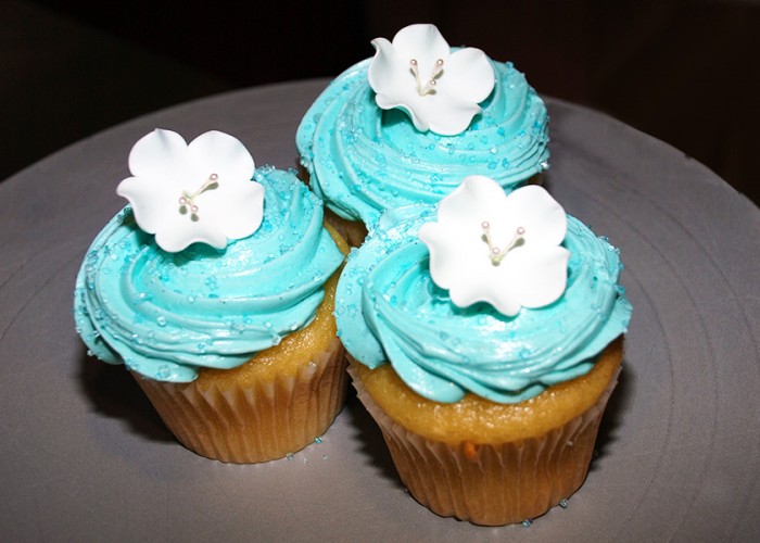 Fuss Cupcakes Ltd Edmonton Business Story