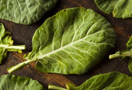 5 main classes of phytochemical compounds you should know