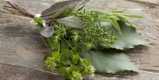 Hints for harvesting and drying garden herbs