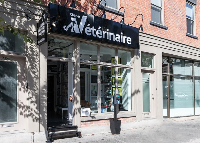 Clinique Vétérinaire Rue Ontario Montréal Business Story