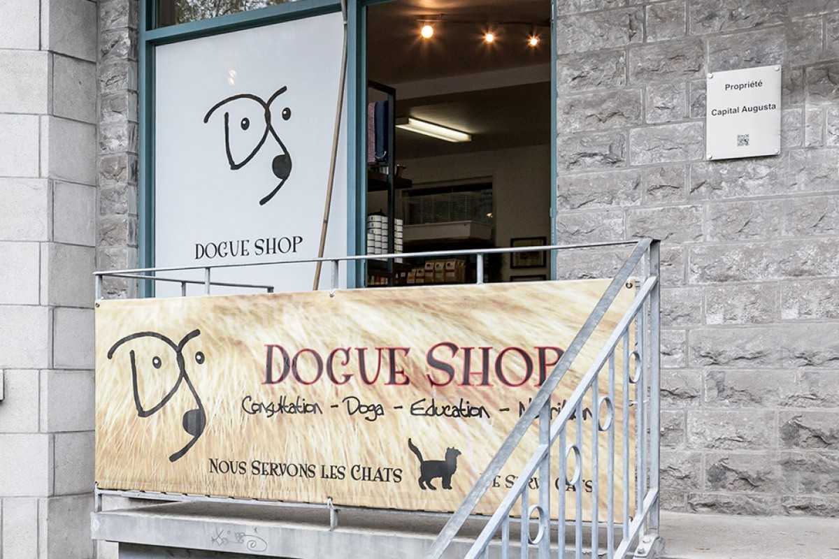 Dogue Shop Montréal Business Story