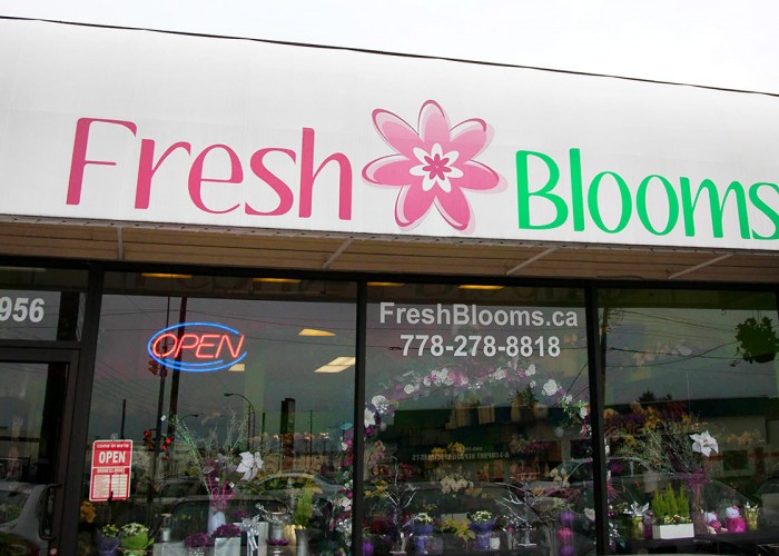Fresh Blooms Flowers Ltd Langley Business Story