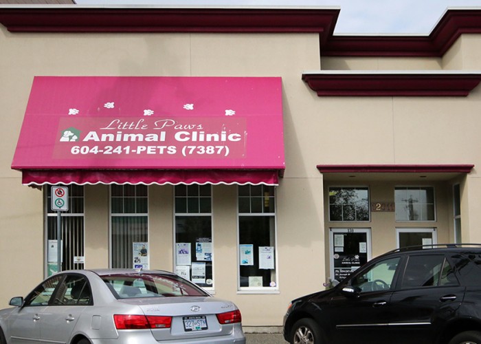 Little Paws Animal Clinic Richmond Business Story