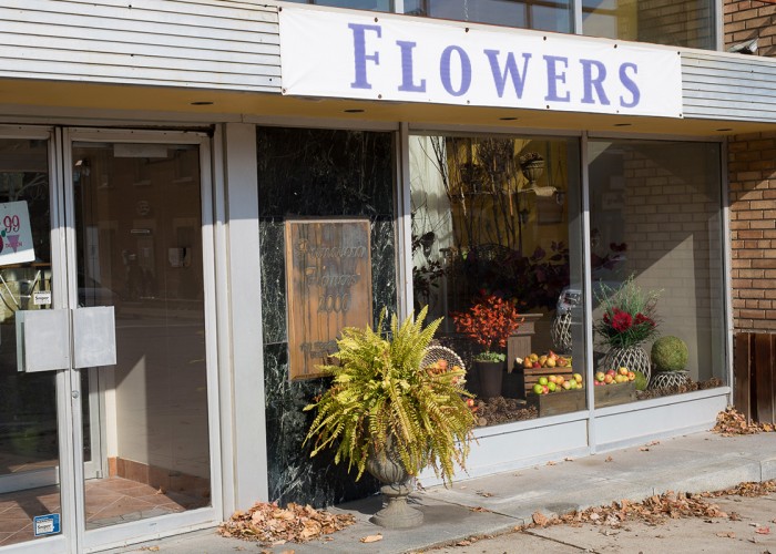Primavera Flowers & More Ltd Vaughan Business Story