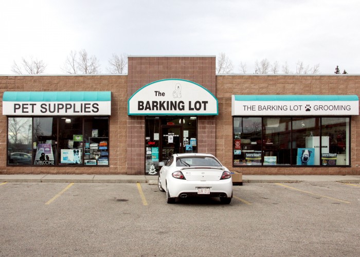 The Barking Lot Calgary Business Story