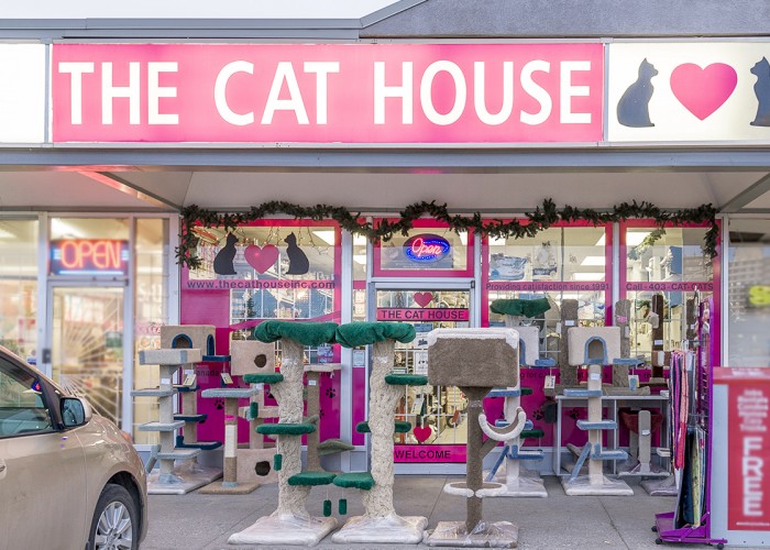 The Cat House Inc Calgary Business Story