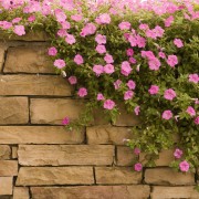 7 helpful pointers for building a garden wall