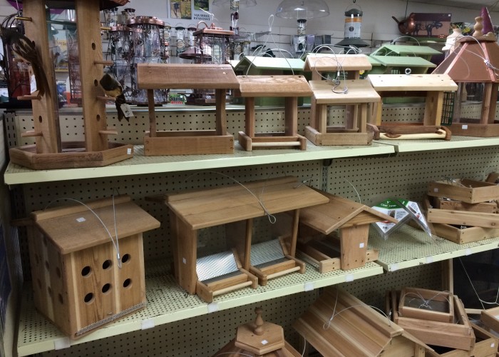 The Wildbird General Store Edmonton Business Story