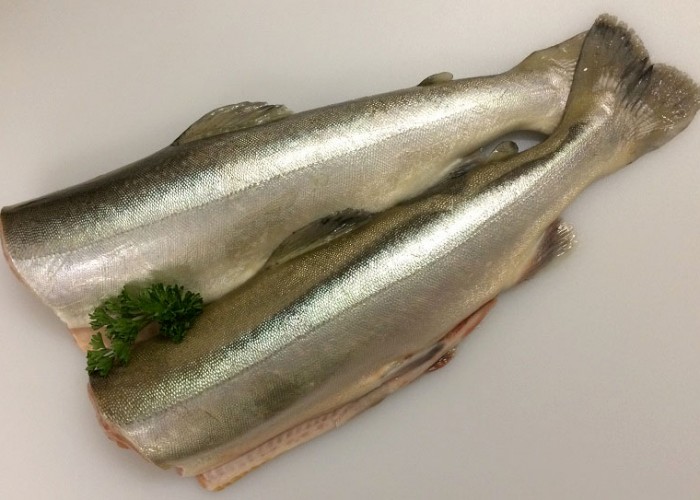 Ocean Odyssey Inland Edmonton Business Story